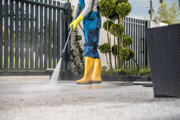 Best Vinyl Siding Pressure Washing in Twin Lakes, VA